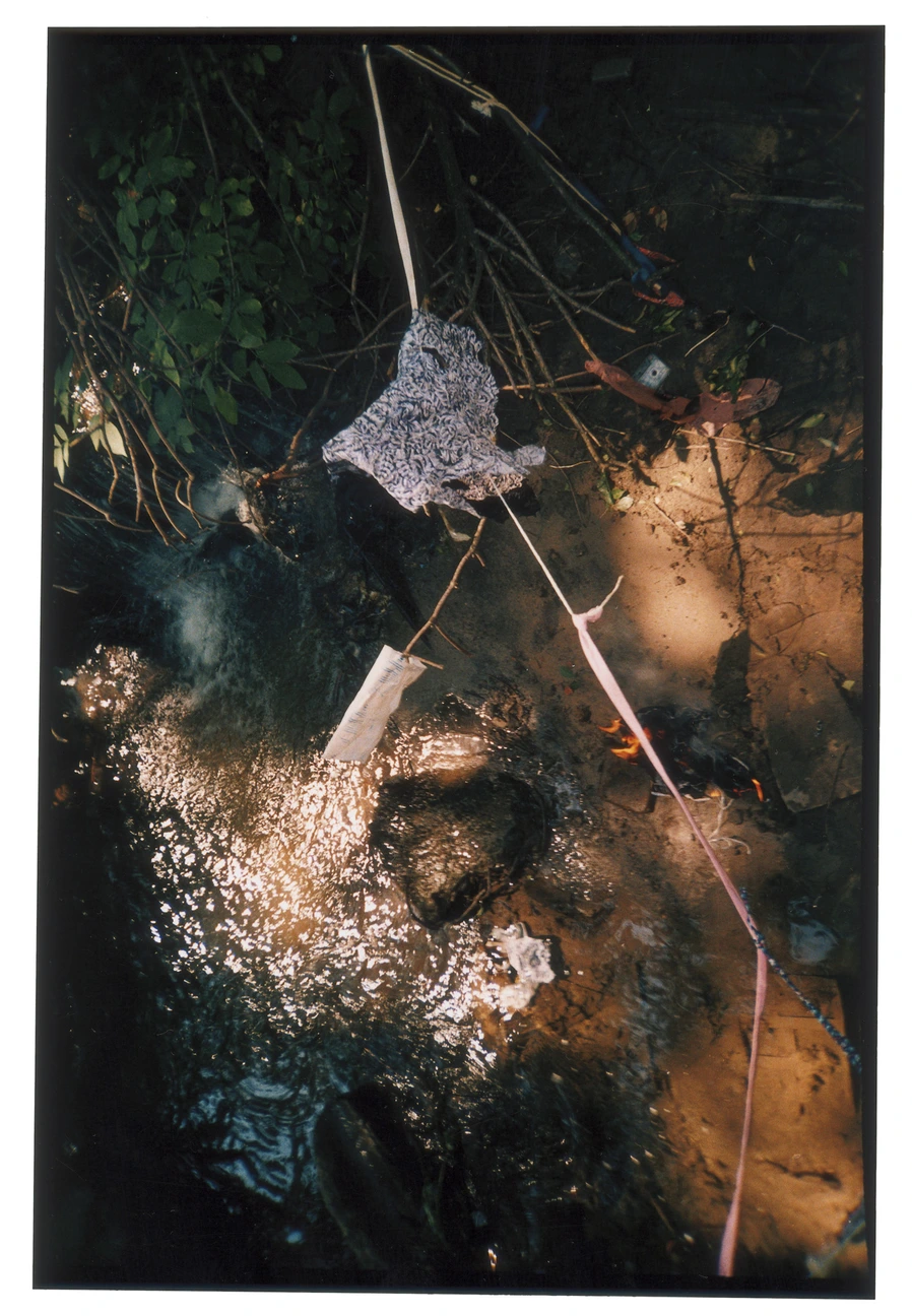 Sergey Sapozhnikov, 2003–2011, work 1