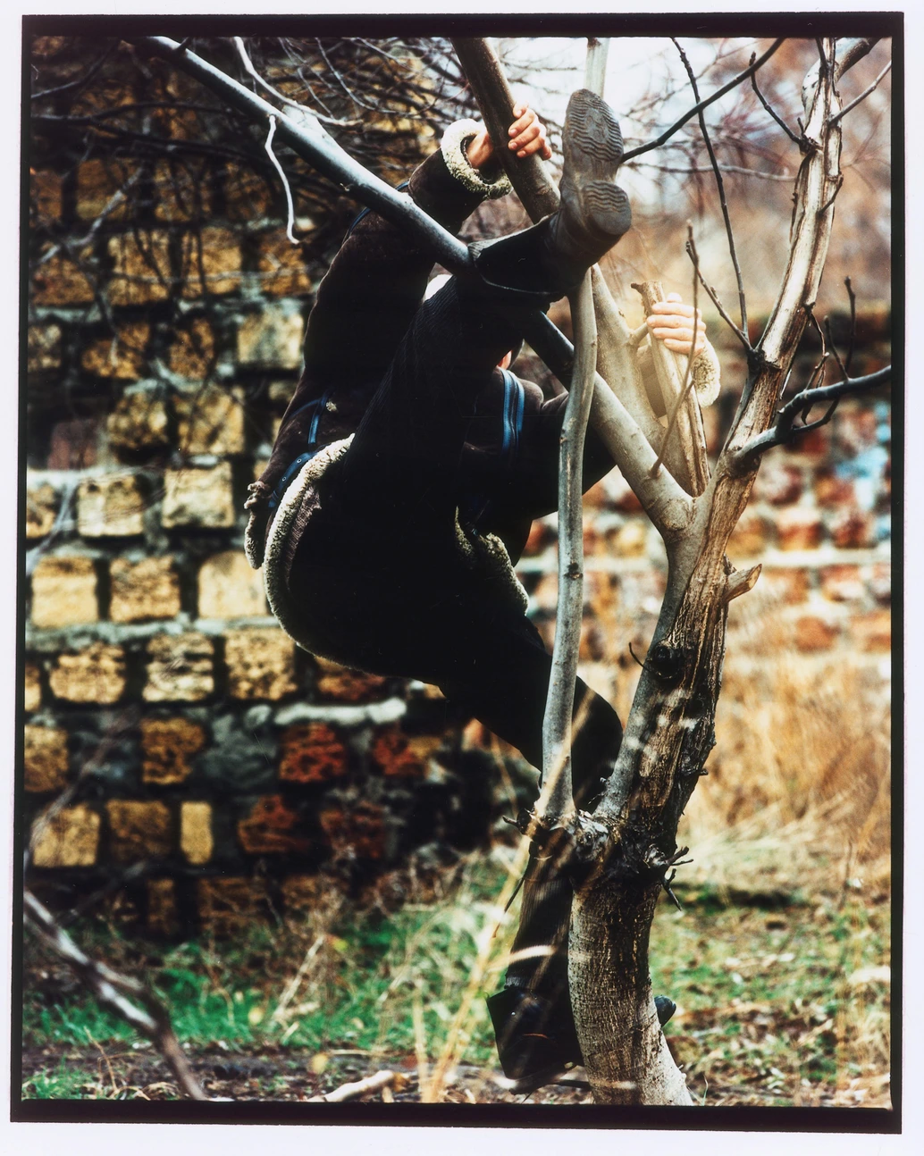 Sergey Sapozhnikov, 2003–2011, work 17