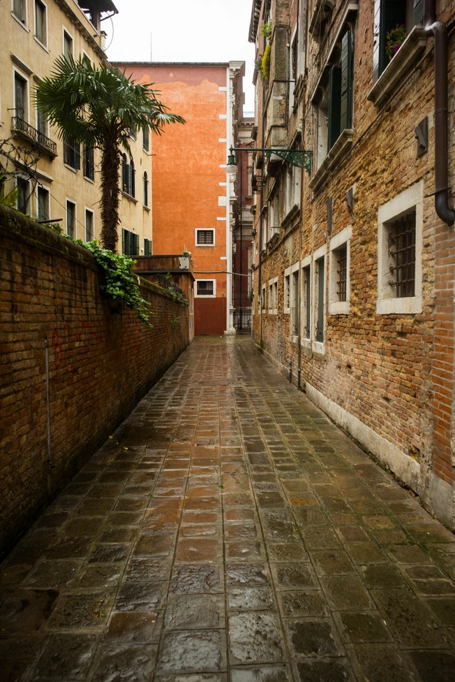 Sergey Sapozhnikov, Senza Titolo, work 14