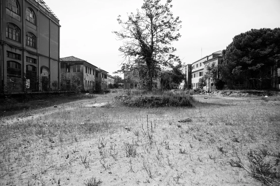 Sergey Sapozhnikov, Senza Titolo, work 26