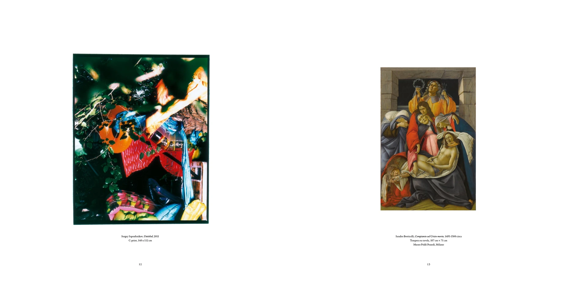 Sergey Sapozhnikov, Total Picture, work 1