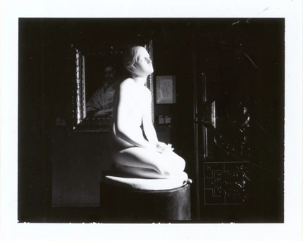 Sergey Sapozhnikov, Total Picture, work 16