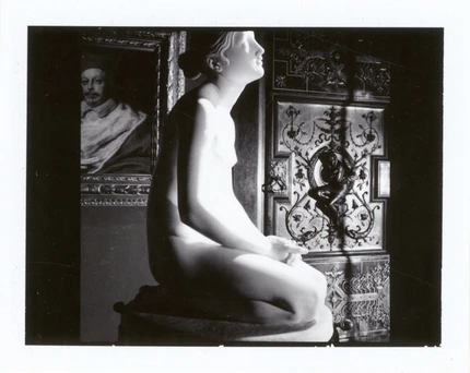 Sergey Sapozhnikov, Total Picture, work 19
