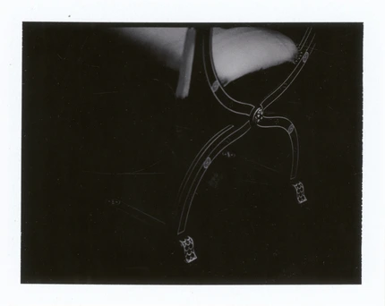Sergey Sapozhnikov, Total Picture, work 28