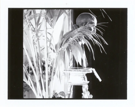 Sergey Sapozhnikov, Total Picture, work 34