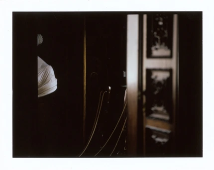 Sergey Sapozhnikov, Total Picture, work 38