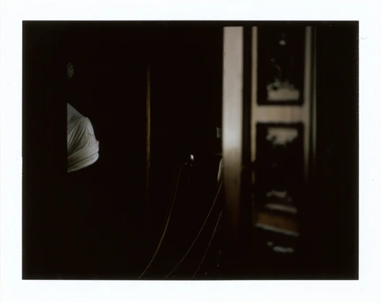 Sergey Sapozhnikov, Total Picture, work 39
